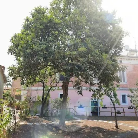 L' Antico Nespolo *